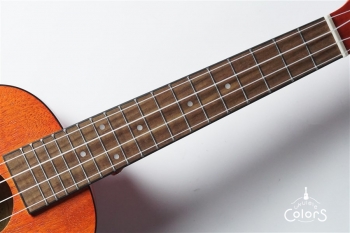 Exotic Mahogany Concert Ukulele w/EQ